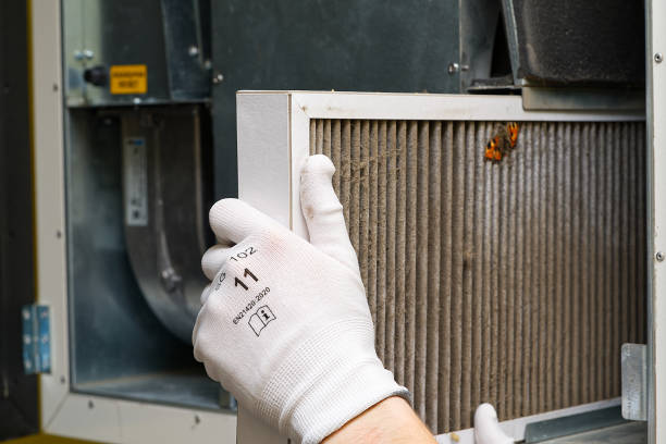 Best Ductwork Cleaning Services  in Mendon, UT